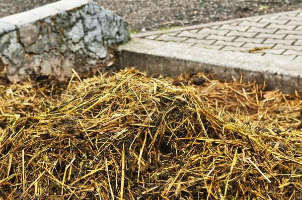 Dung heap — Stock Photo, Image