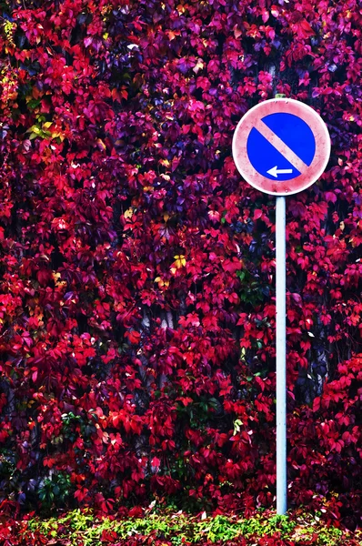 Verkehrsschild mit herbstlich gefärbten Blättern — Stockfoto