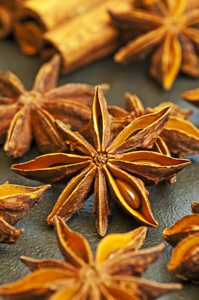 Star anise — Stock Photo, Image