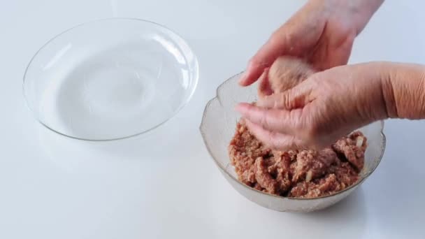 Formation de hamburgers 