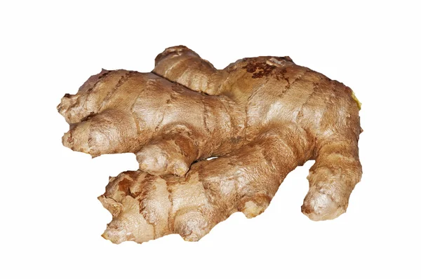 Ginger root — Stock Photo, Image