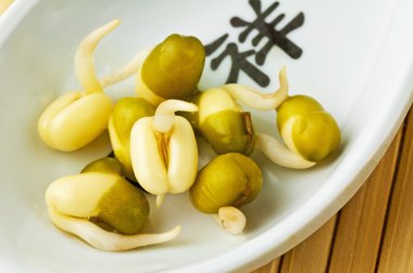 soya filizi