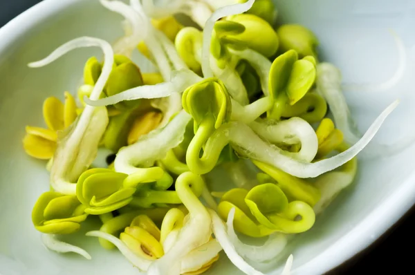 Radish sprouts — Stock Photo, Image