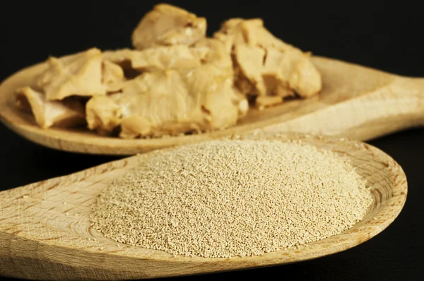 Baking ingredient yeast powder and fresh yeast — Stock Photo, Image