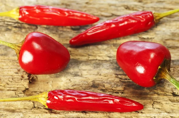 Cascabel en cayenne chili — Stockfoto