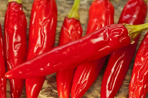 Čerstvé chilli — Stock fotografie