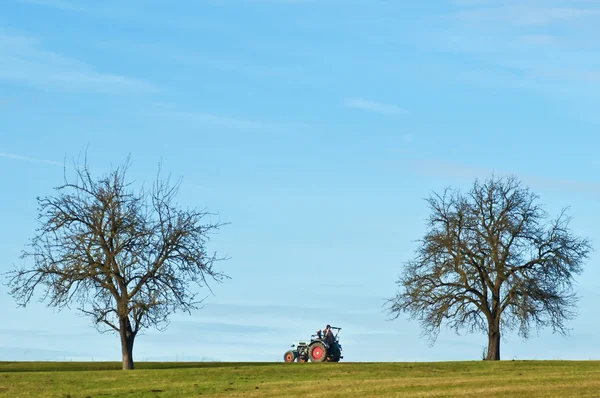 Trekker tra gli alberi — Foto Stock