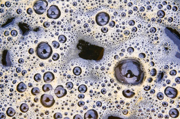 Bubbles of dung in a creek — Stock Photo, Image