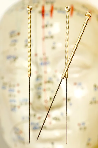 Acupuncture needles over head model — Stock Photo, Image