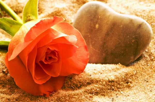 Rose on a beach with heart — Stock Photo, Image