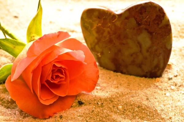Rose sur une plage avec coeur — Photo