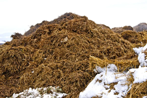 Colina de esterco na neve — Fotografia de Stock