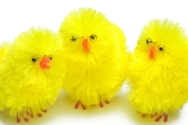 Easter biddy — Stock Photo, Image