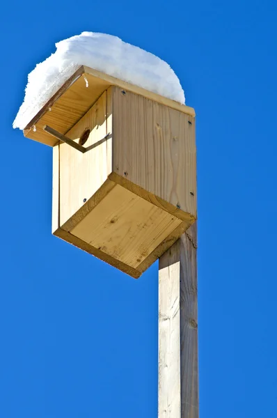 Birdhouse com neve — Fotografia de Stock