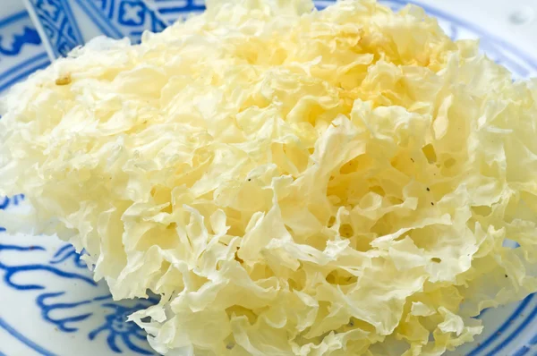 Lion's Mane Mushroom — Stock Photo, Image