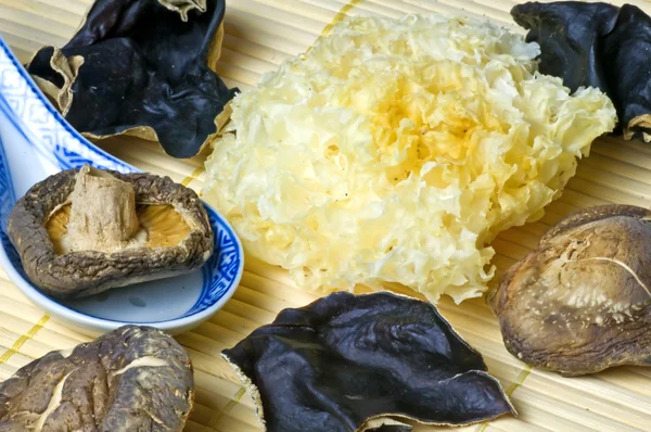 Shiitake og jøde øre svamp - Stock-foto