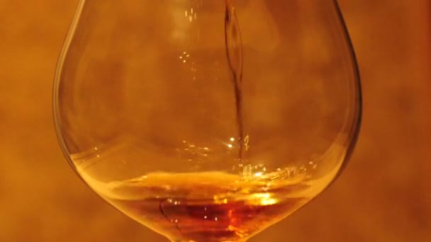 Cognac ins Glas gießen — Stockvideo