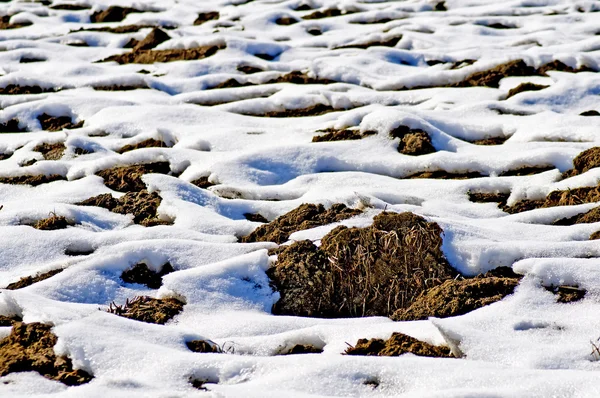 Acre con nieve — Foto de Stock