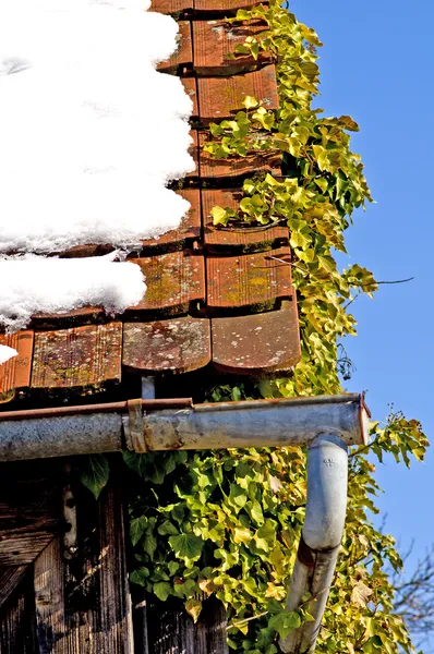 Old roof with snow — Stock Photo, Image