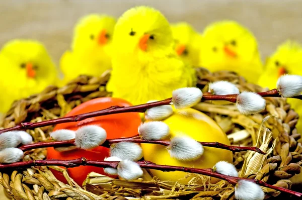 Osterkorb mit bemalten Eiern, Kätzchen und Geboten — Stockfoto