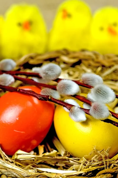 Великодній кошик з розфарбованими яйцями, ловлею та заявниками — стокове фото