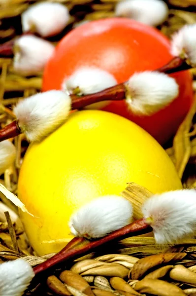 Cesta de Páscoa com ovos pintados e guardanapo — Fotografia de Stock