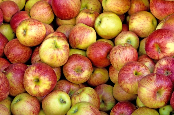 Epler ved et gatesalg – stockfoto
