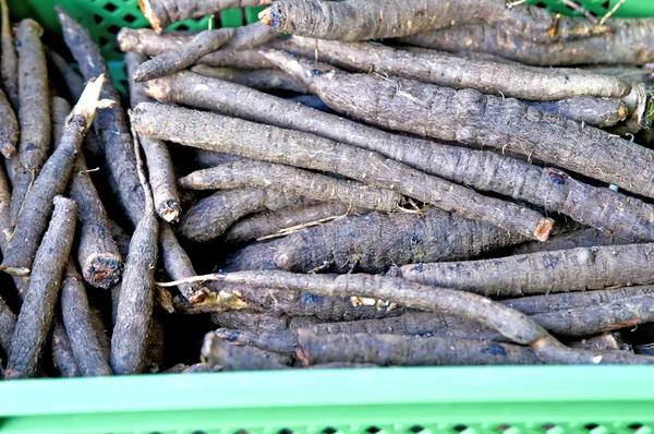 Black salsify — Stock Photo, Image