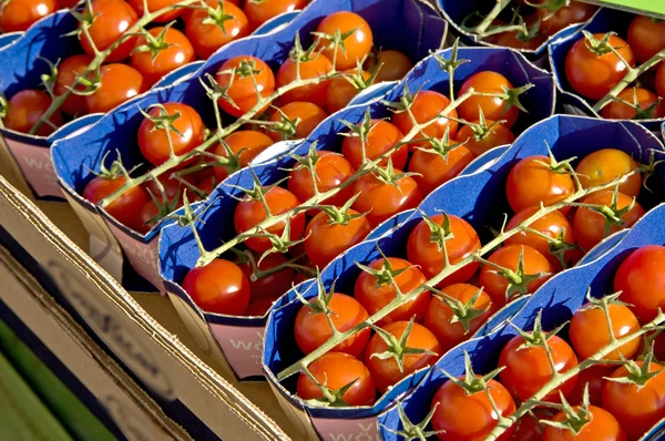 Tomater på en gata försäljning — Stockfoto