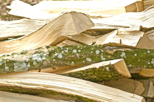Yakıt-wood — Stok fotoğraf