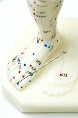 Akupunktur gösteri modeli