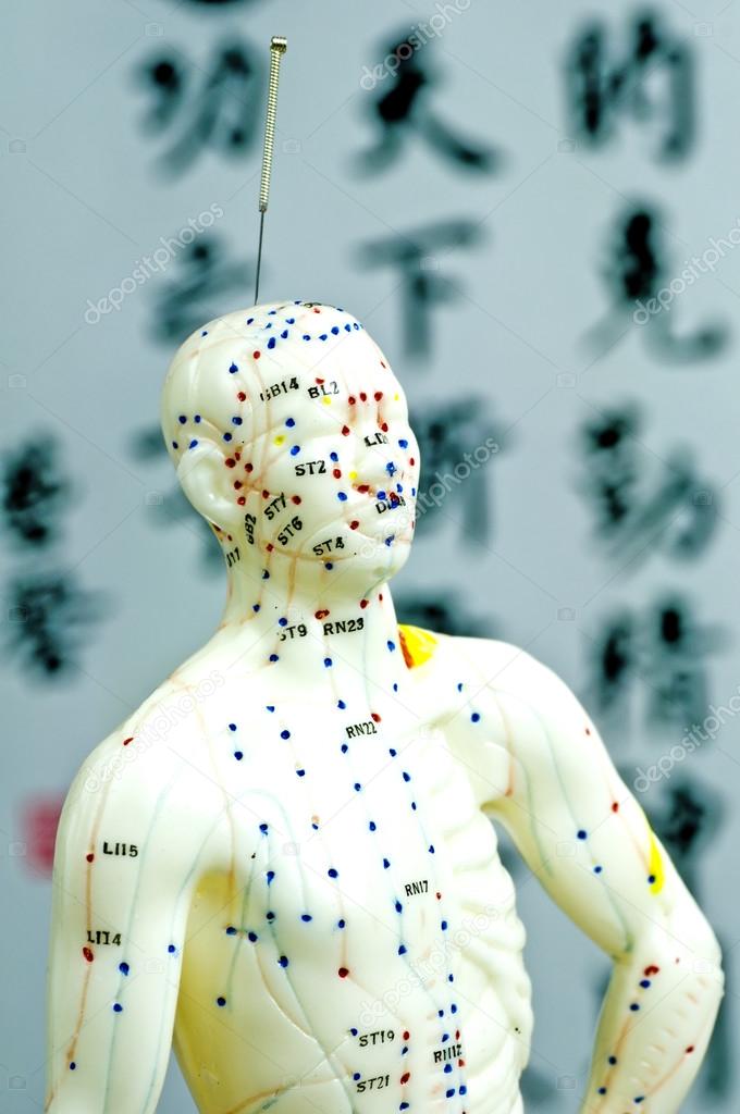 Acupuncture demonstration on model Stock Photo by ©jochenschneider 22982318