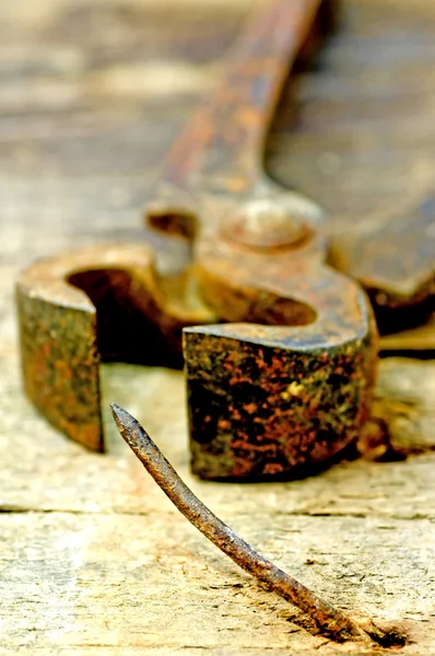 Viejos alicates oxidados con clavo —  Fotos de Stock