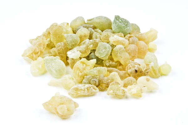 Olibano, boswellia serrata — Foto Stock