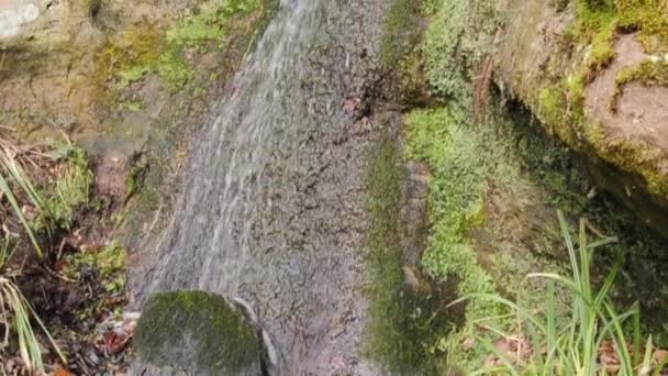 Cascade