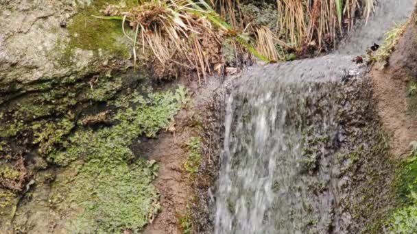 Cachoeira — Vídeo de Stock