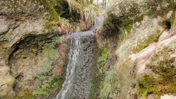 Pequena cachoeira — Vídeo de Stock