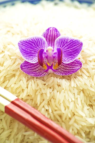 Басмати рис с цветущей орхидеей — стоковое фото