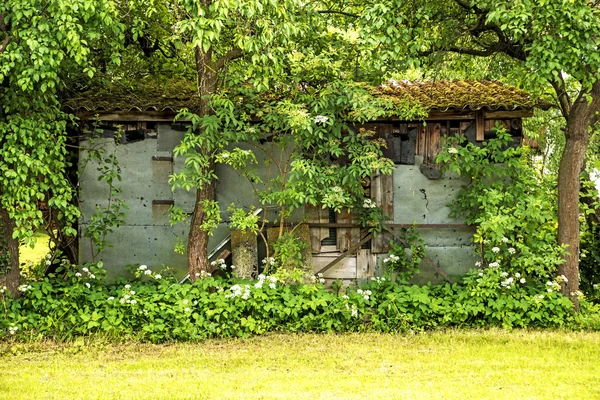 Hidden barn in the green — Stock Photo, Image