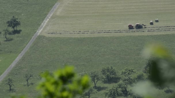 收割干草 — 图库视频影像