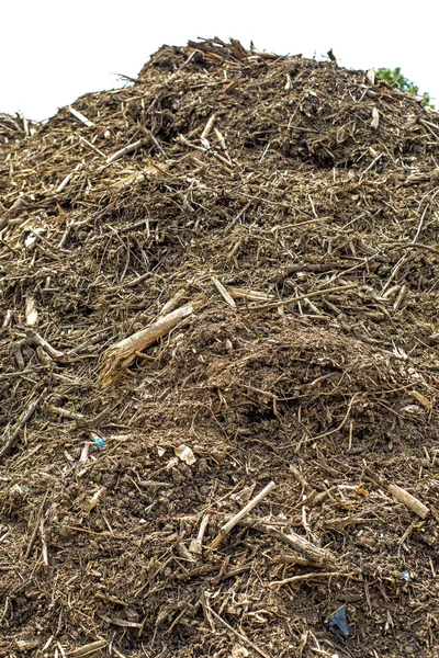 Compost heap — Stock Photo, Image