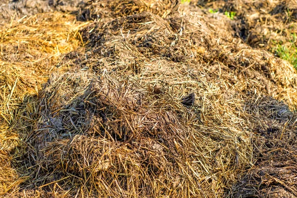 Dung hill — Stock Photo, Image