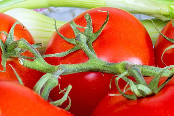 Vine tomatoes — Stock Photo, Image