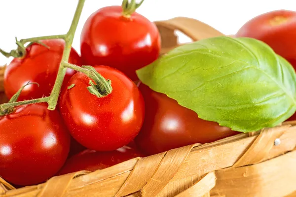 Vine tomatoes in a basket — Stock Photo, Image