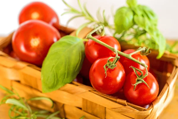 Vinstockar tomater i en korg — Stockfoto
