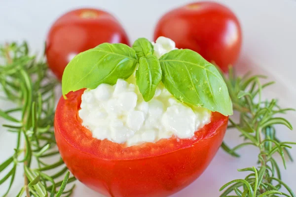 Pomidor apppetizer włoski z serem i bazylią — Zdjęcie stockowe