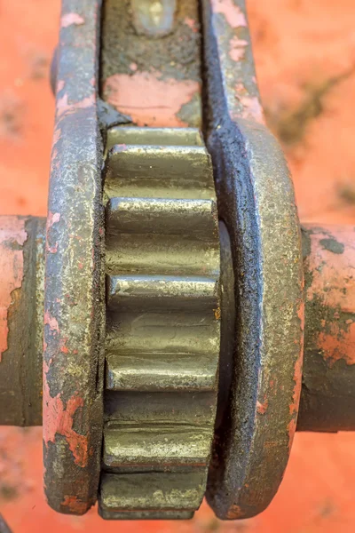 Gear-wheel — Stock Photo, Image