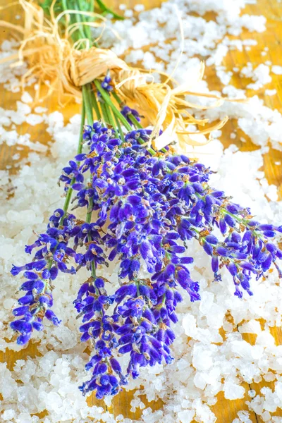 Lavendel met zeezout — Stockfoto