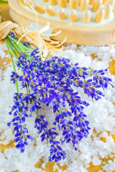 Lavendel mit Meersalz — Stockfoto