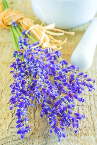Lavendel mit Meersalz — Stockfoto